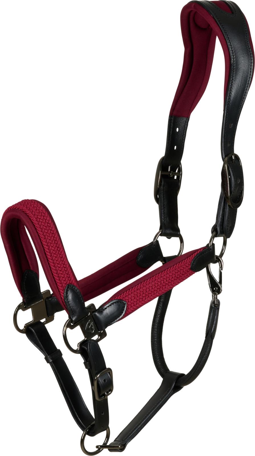 Red Horse Halter