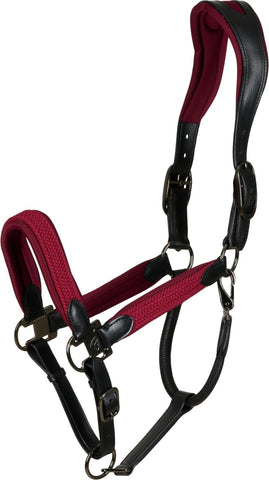 Red Horse Halter