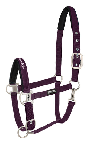 Fairplay  Dion Halter