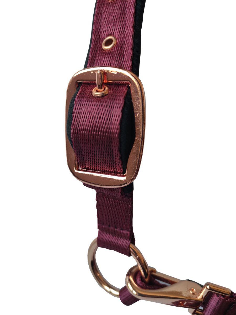 Daslo gold nylon halter and lead rope